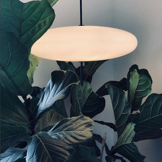 Ritta Nordico LED Moderna Lampada a Sospensione Ovale Singola