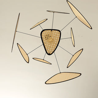 Screen Cannage Suspension - Blowlighting