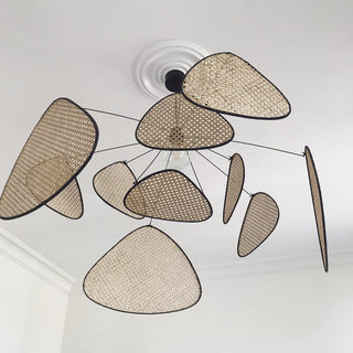 Screen Cannage Suspension - Blowlighting