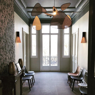 Screen Cannage Suspension - Blowlighting