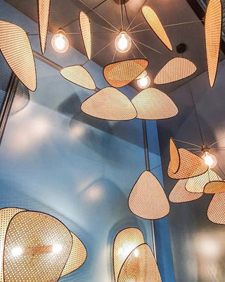 Screen Cannage Suspension - Blowlighting