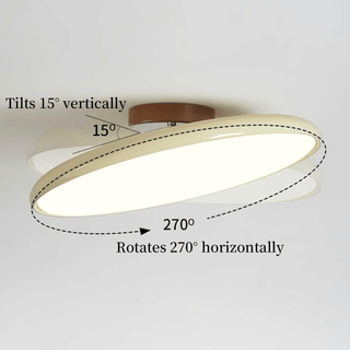 Aria Lampada da Soffitto Regolabile Colorata per Camera da Letto